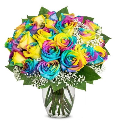 24 Wild Rainbow Roses