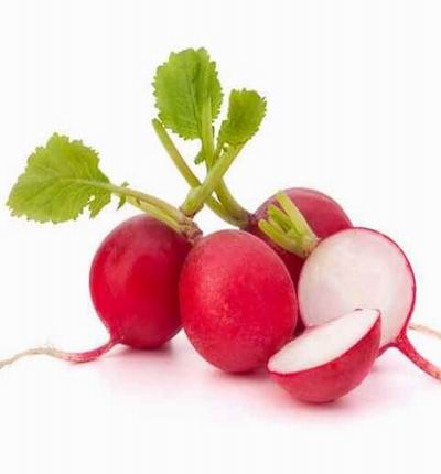 Radish 5 pcs.