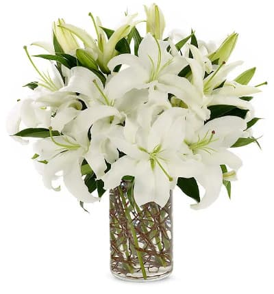 * White Lilies
* Clear Glass Cylinder
* Curly Willow