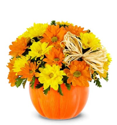 * Orange Daisies
* Yellow Daisies
* Raffia
* Pumpkin Planter