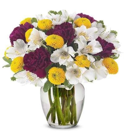 * Dark Purple Carnations
* White Alstroemeria
* Yellow Poms
* Clear Glass Vase
* Same Day Delivery Available