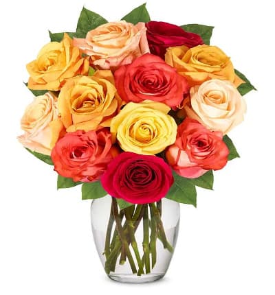 12 roses * Orange Roses
* Red Roses
* Yellow Roses (Color may vary based on availability)