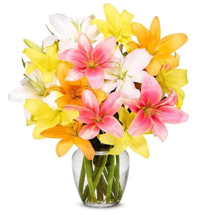 * Pink Lilies
* Orange Lilies
* Yellow Lilies