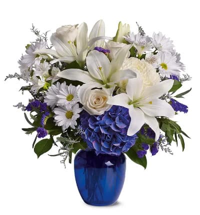 Send a peaceful floral arrangement that is beautiful as a blue sky. Arranged with white lilies, white roses and blue hydrangeas. A perfect white and blue flower bouquet that is an ideal gift for a variety of occasions.

Includes:
* Blue Hydrangea
* White Roses
* White Oriental Lilies
* Purple Statice
* Blue Glass Vase