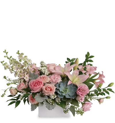 This chic arrangement is the ideal gift for any trendsetter in your life! Delicate pastel pinks and a sophisticated succulent come together in a perfectly harmonious, ultramodern floral display!

Approximate arrangement Height 21